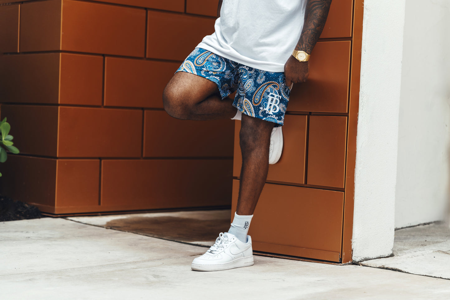 Icon Shorts - Deep Paisley